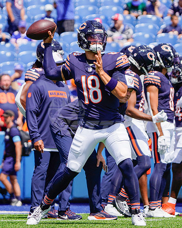 NFL: Chicago Bears at Buffalo Bills